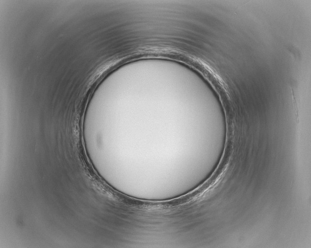 X0000116131025200911230947