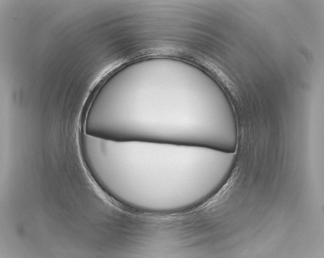 X0000116131034200911230947