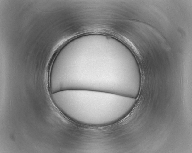 X0000116131035200911230947