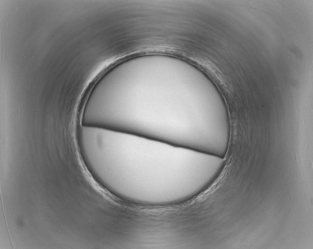 X0000116131038200911230947