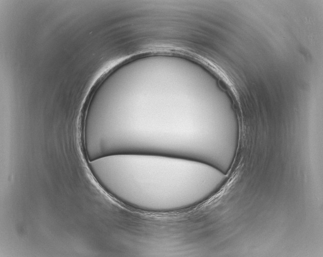 X0000116131045200911230947