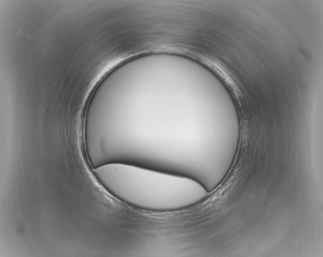 X0000116131048200911230947