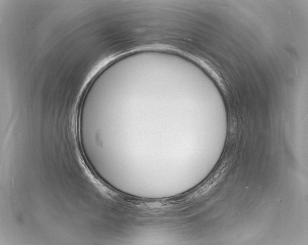 X0000116131054200911230947