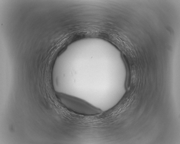 X0000116131057200911230947