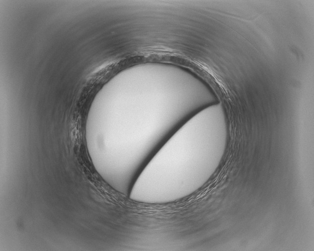 X0000116131063200911230946