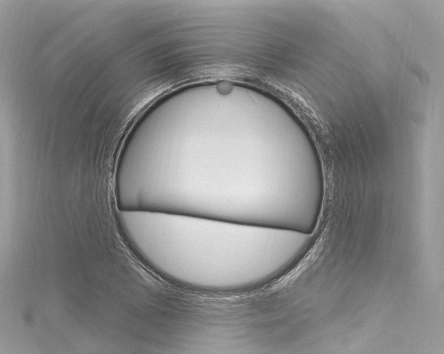 X0000116131073200911230946