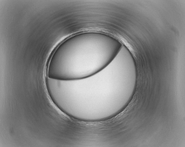 X0000116131084200911230946