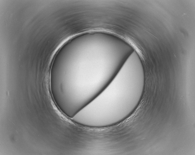 X0000116131100200911230946