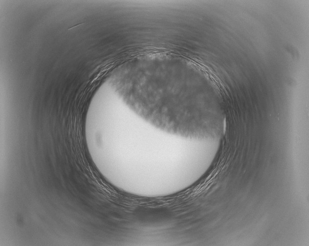 X0000116131107200911230945