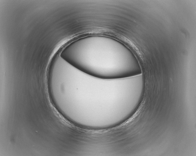 X0000116131122200911230946
