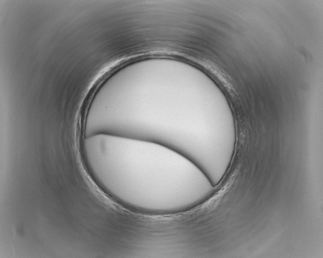 X0000116131126200911230946