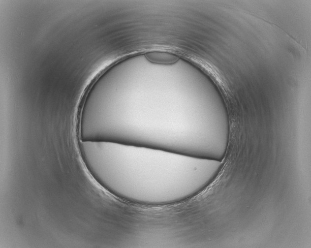 X0000116131135200911230946