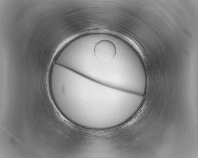 X0000116131149200911230946