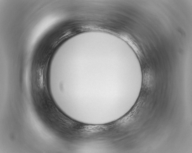 X0000116131150200911230946
