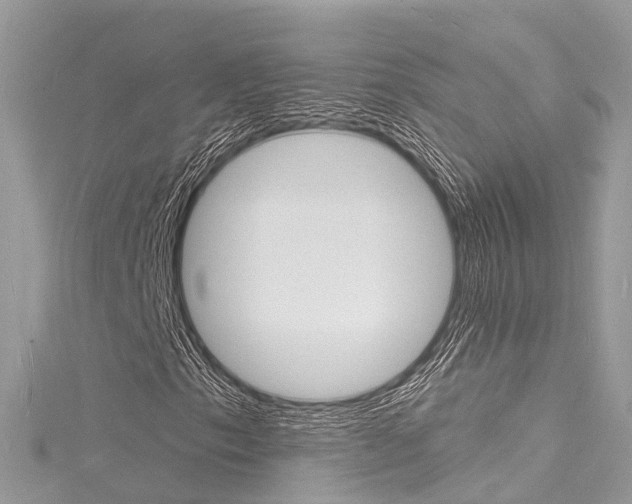 X0000116131153200911230945