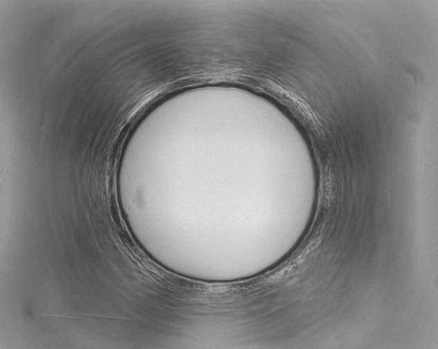 X0000116131162200911230945