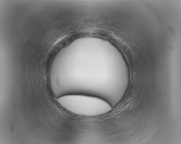 X0000116131206200911230944