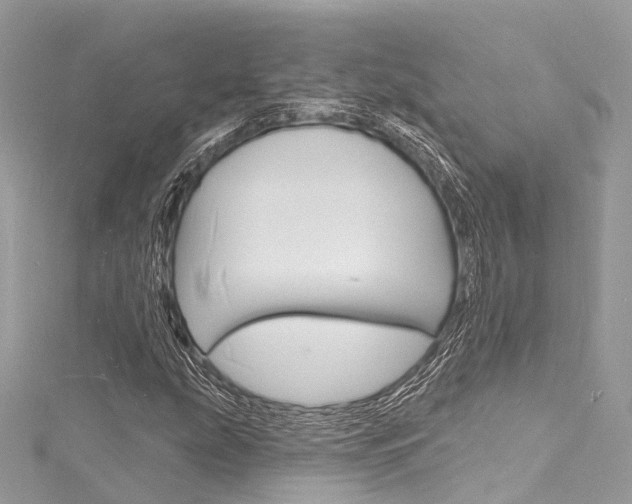 X0000116131207200911230944
