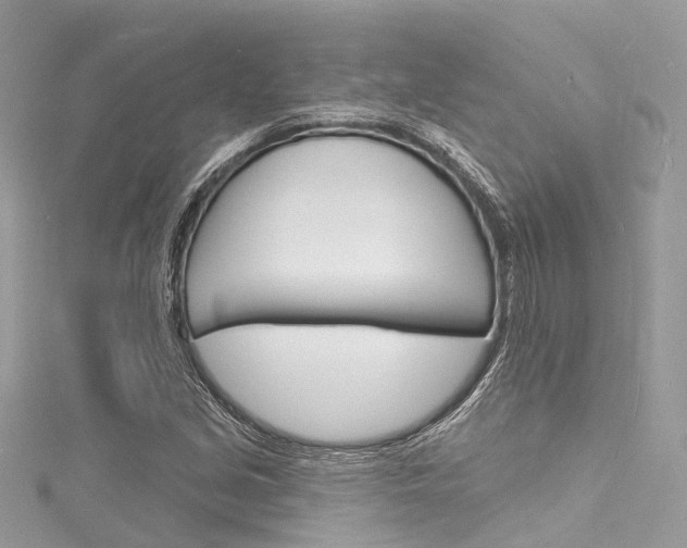 X0000116131213200911230944