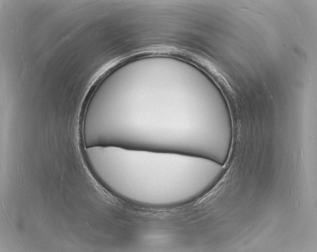 X0000116131229200911230944