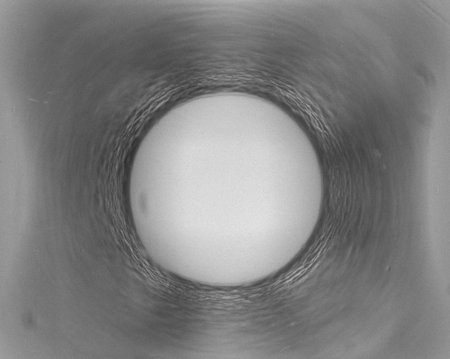 X0000116131249200911230944