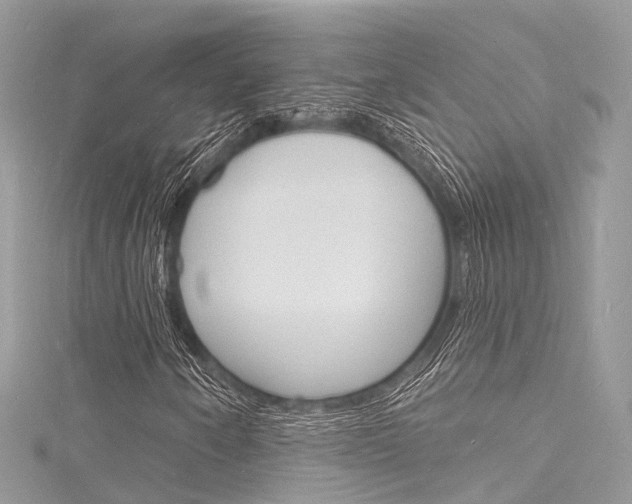 X0000116131250200911230944