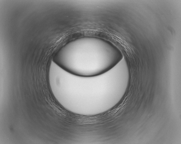 X0000116131252200911230944