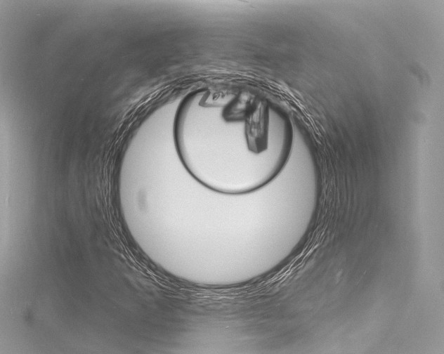 X0000116131253200911230944