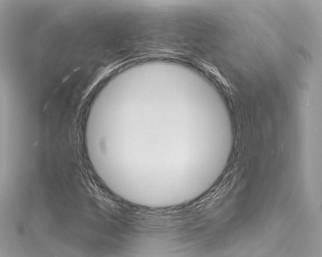 X0000116131256200911230944