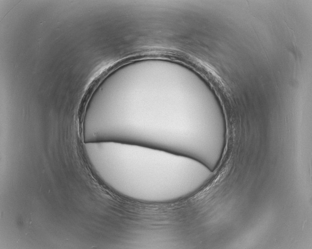 X0000116131267200911230944
