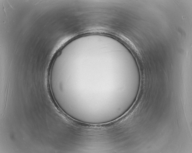 X0000116131277200911230944