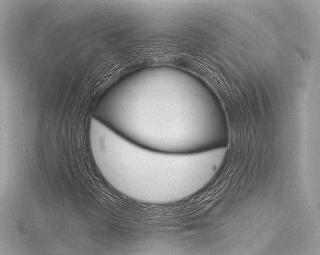 X0000116131298200911230943