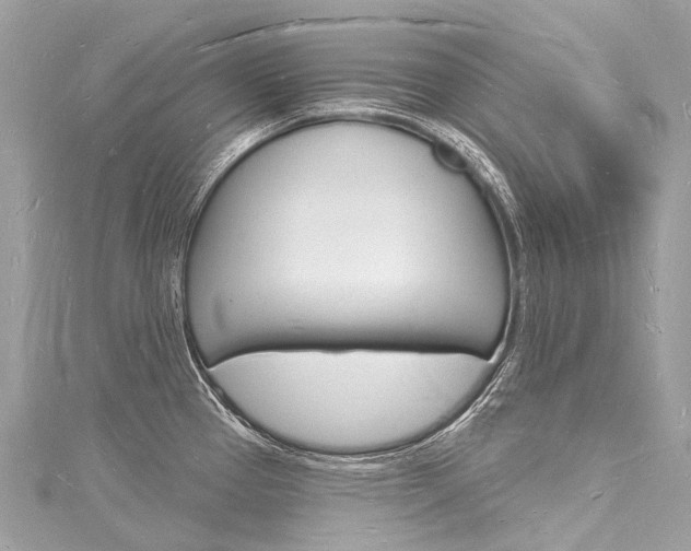X0000116131337200911230943