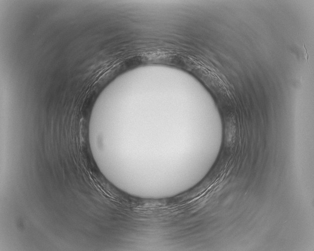X0000116131346200911230943