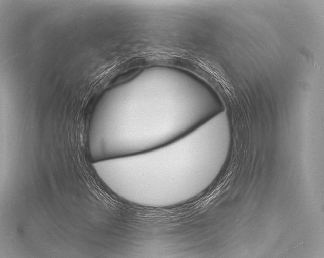 X0000116131348200911230943