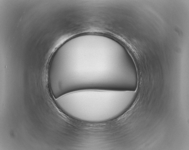 X0000116131367200911230943