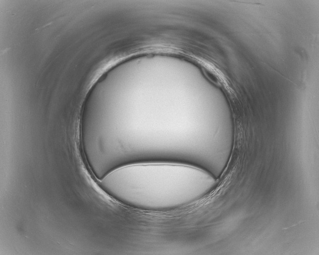 X0000116131383200911230942