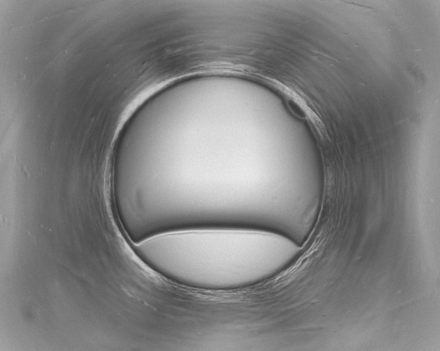 X0000116131387200911230942