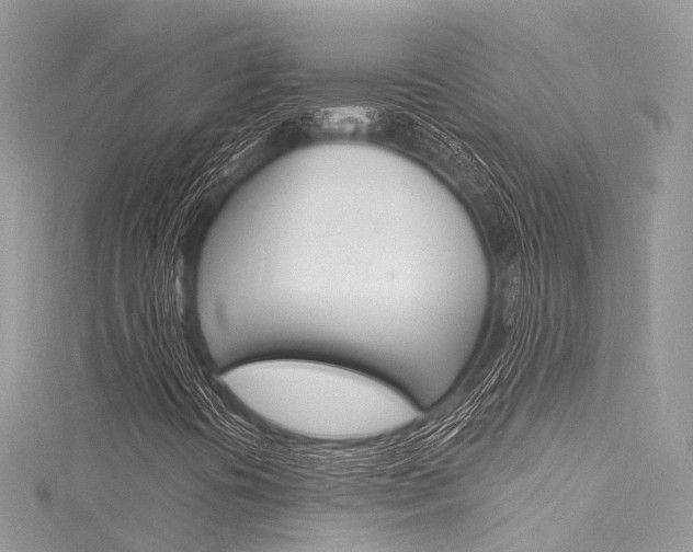 X0000116131394200911230942