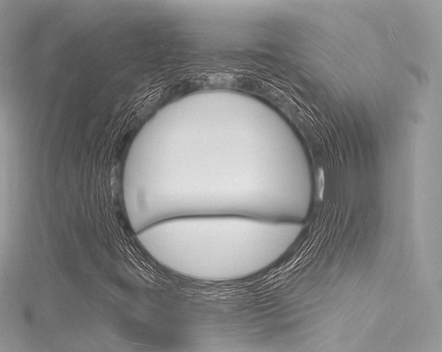 X0000116131395200911230942