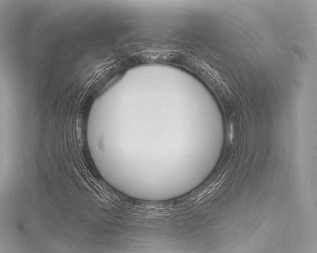 X0000116131396200911230942