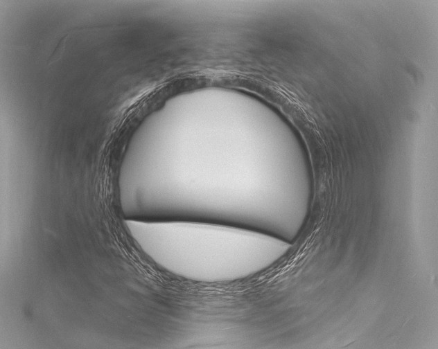 X0000116131398200911230942