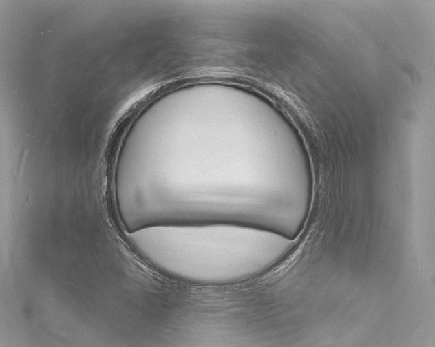 X0000116131406200911230942