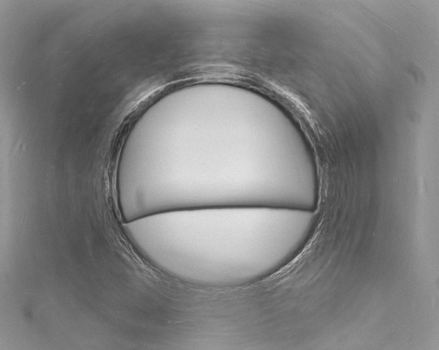 X0000116131407200911230942