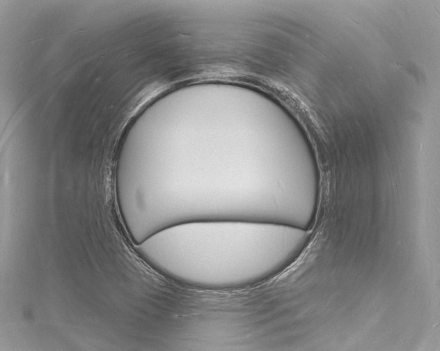 X0000116131409200911230942