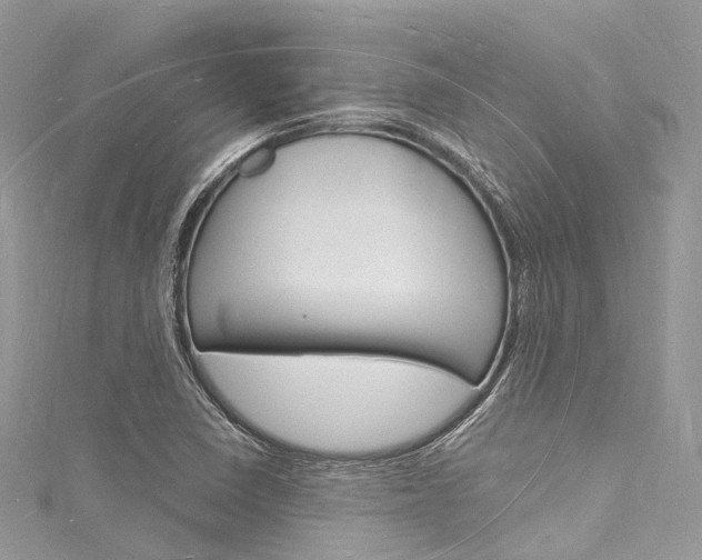 X0000116131410200911230942