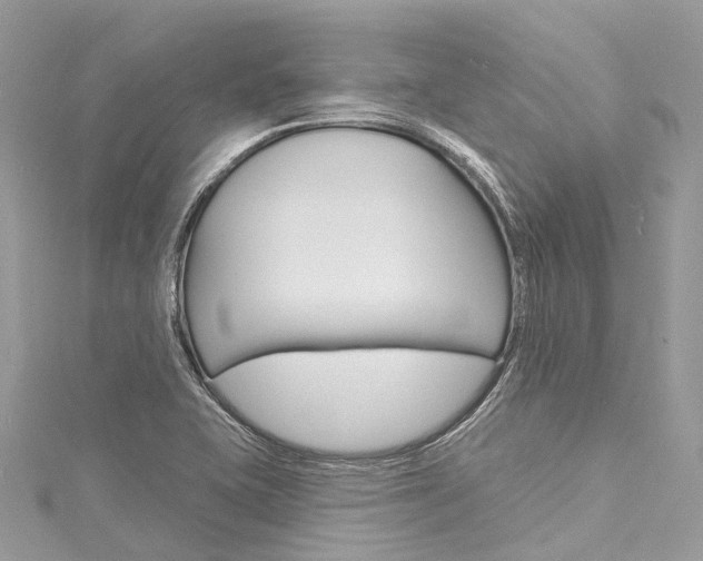 X0000116131415200911230942
