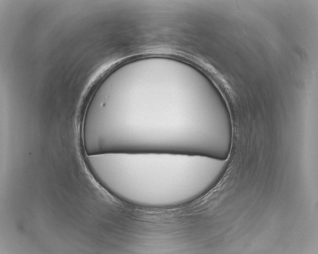 X0000116131416200911230942