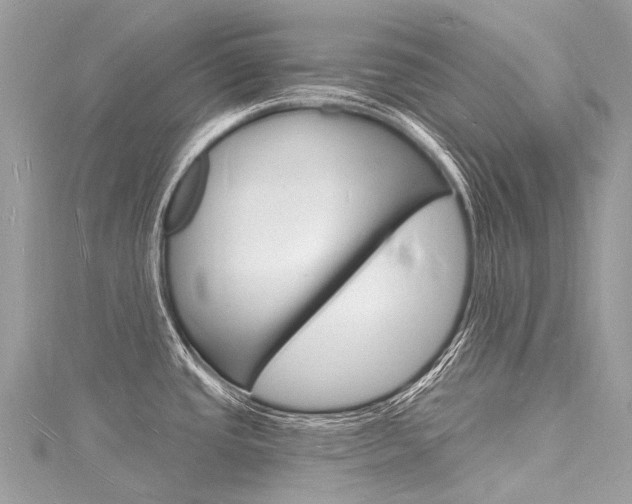 X0000116131437200911230942