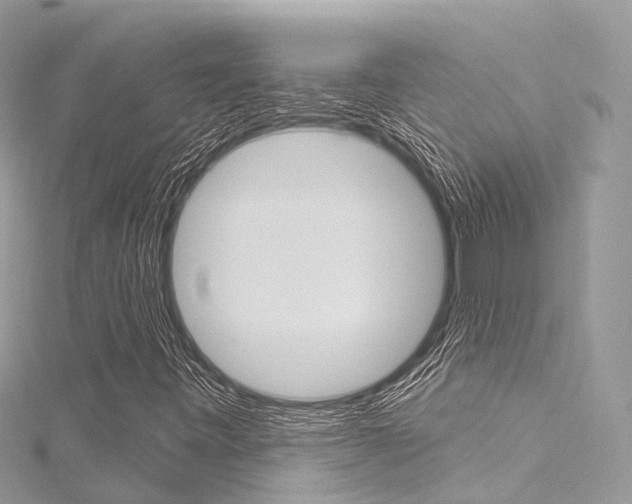 X0000116131443200911230941